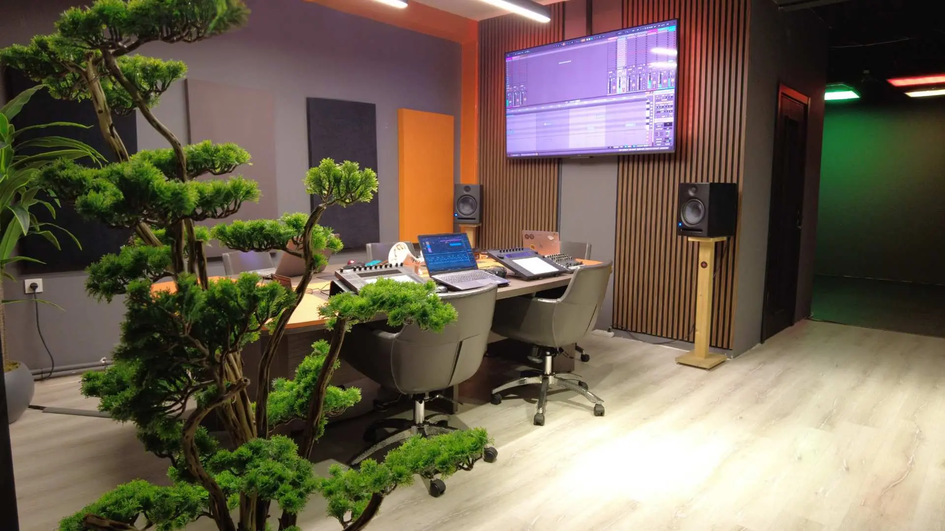 Studio D